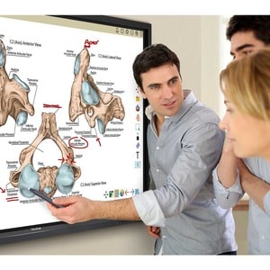 ViewSonic ViewBoard On-site Professional Development On-site - Technology Training Course - 2 Day Duration