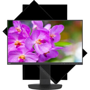 NEC Display MultiSync EA241F Full HD LCD-Monitor - 16:9 Format - Schwarz - 60,5 cm (23,8 Zoll) Viewable - WLED Hintergrund