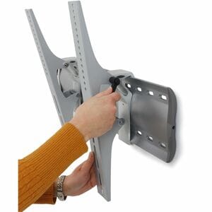 Ergotron 壁挂式安装座 用于 显示, 电视, 平板显示器 - 银 - 106.7 cm (42") 支持屏幕 - 79.38 kg 承载量 - 100 x 100, 800 x 450 - VESA 安装兼容 - 钢