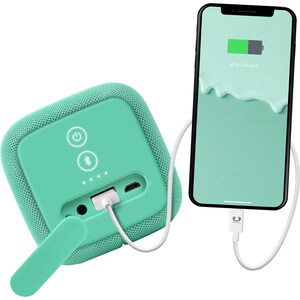Fresh 'n Rebel Rockbox Bold M 1RB6500PT Bluetooth Lautsprechersystem - Pfefferminze - Aufladbarer Akku - USB