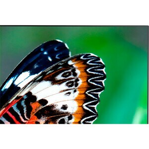 NEC Display MultiSync UN492S 124.5 cm (49") LCD Digital Signage Display - 1920 x 1080 - Edge LED - 700 cd/m² - 1080p - HDM