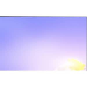 NEC Display 55" Ultra-Narrow Bezel Professional-Grade Display - 55" LCD - 1920 x 1080 - Direct LED - 500 Nit - 1080p - HDM