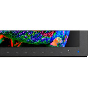 NEC Display PA311D-BK-SV 31" Class 4K LCD Monitor - 17:9 - 31.1" Viewable - In-plane Switching (IPS) Technology - WLED Bac