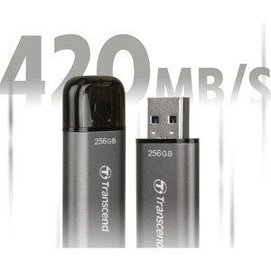 Transcend JetFlash 920 256 GB USB 3.2 (Gen. 1) Typ A Flash-Laufwerk - Grau - 420 MB/s Read Speed - 400 MB/s Write Speed