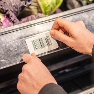 Brother Multipurpose Label - 76 mm Width x 44 mm Length - Rectangle - Direct Thermal - White - 70 / Roll - 1 Roll