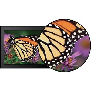 Monitor LCD Philips 241E1SC 609,6 mm (24,0") Class Full HD Schermo curvo - 16:9 - Nero tessuto - 59,9 cm (23,6") Viewable 