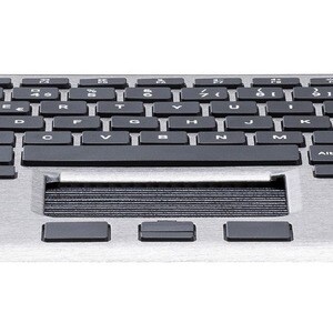 MOUSETRAPPER ALPHA US/NL 