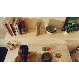 Bang & Olufsen Beosound Emerge Bluetooth Speaker System - Light Oak - Bookshelf, Shelf - 45 Hz to 22 kHz - Wireless LAN