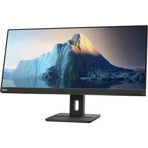 Lenovo ThinkVision E29w-20 29" Class UW-FHD LCD Monitor - 21:9 - Raven Black - 73.7 cm (29") Viewable - In-plane Switching