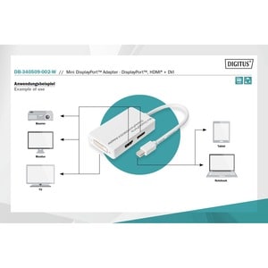 Digitus 20 cm DisplayPort/DVI/HDMI/Mini DisplayPort A/V Cable for Audio/Video Device, Projector, LCD Monitor, LED TV, HDTV