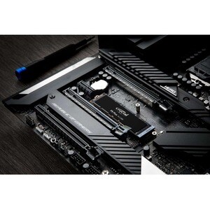 Unidad de estado sólido Crucial P5 Plus CT2000P5PSSD8 - M.2 2280 Interno - 2 TB - PCI Express NVMe (PCI Express NVMe 4.0 x