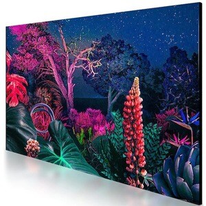 Samsung QM55B 1397 mm LCD Digital Signage Display - Cortex A72 1.70 GHz - 3840 x 2160 - LED - 500 cd/m² - 2160p - USB - HD