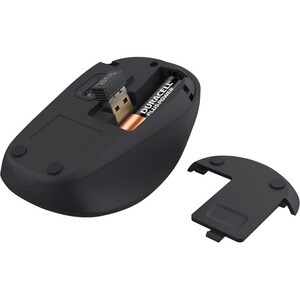 Trust TM-201 Mouse - Radio Frequency - USB 1.0 - Optical - 4 Button(s) - Black - Wireless - 2.40 GHz - 1600 dpi - Scroll W