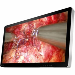 EIZO CuratOR EX3242-3D 32" Class 4K UHD LED Monitor - 16:9 - White - 32" Viewable - In-plane Switching (IPS) Technology - 