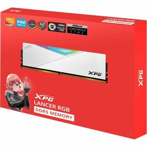 XPG RAM Module - 16 GB - DDR5-7200/PC5-57600 DDR5 SDRAM - 7200 MHz - 1.40 V