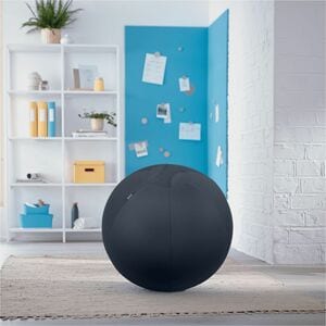 Leitz Exercise Ball - Velvet Gray - Fabric