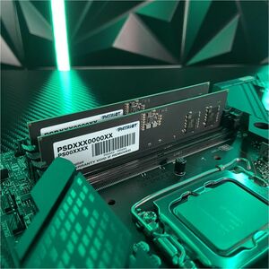 Patriot Memory Signature Line 8GB DDR5 SDRAM Memory Module - 8 GB (1 x 8GB) - DDR5-5200/PC5-41600 DDR5 SDRAM - 5200 MHz - 