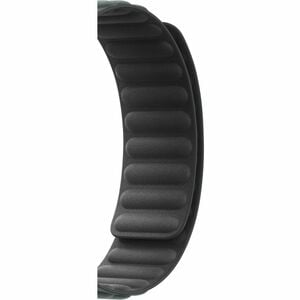 41mm Evergreen Magnetic Link - M/L