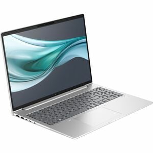 HP EliteBook 660 G11 40.6 cm (16") Notebook - WUXGA - Intel Core Ultra 5 125U - vPro Technology - 8 GB - 512 GB SSD - Pike