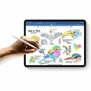 Apple iPad Pro (7th Generation) A2925 平板 - 33 cm (13") - Apple M4 - 8 GB - 256 GB 存储 - 银 - 4.40 GHz - 2752 x 2064 - 原彩技术 显