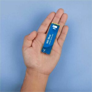 WD Blue SA510 WDS500G3B0B-00AXS0 500 GB Solid State Drive - M.2 2280 - SATA - 200 TB TBW - 5 Year Warranty