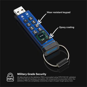 Lecteur flash iStorage - 256 Go - USB 3.2 (Gen 1) - 256-bit AES - 170 Mo/s Read Speed - 146 Mo/s Write Speed