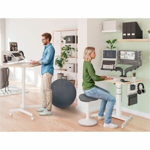 Leitz Ergo Desktop Organizer - Small - Desk - Vertical - 330 mm Height x 450 mm Width x 61 mm Depth - Compact, Durable, Sc