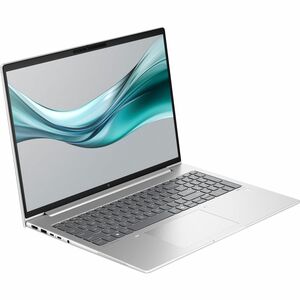 HP EliteBook 665 G11 40.6 cm (16") Notebook - WUXGA - AMD Ryzen 5 PRO 7535U - 16 GB - 512 GB SSD - AMD Chip - 1920 x 1200 