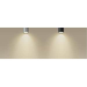 Tapo L610 LED-Glühlampe - 2,90 W - 350 lm - Spot - GU10 Basis - 2700 °K Farbtemperatur - 40° Abstrahlwinkel - Alexa, Googl