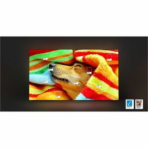 Samsung S85F QN55S85FAF 54.6" Smart OLED TV - 4K UHDTV - Graphite Black - Alexa, Google Assistant, Bixby Supported - TV Pl