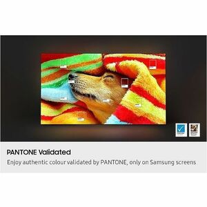 Samsung S85F QN83S85FAE 82.5" Smart OLED TV - 4K UHDTV - Graphite Black - Alexa, Google Assistant, Bixby Supported - TV Pl
