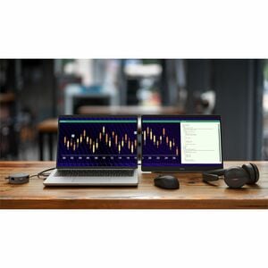 Dell Pro Plus P1425 14" Class WUXGA LED Monitor - 16:10 - 35.6 cm (14") Viewable - In-plane Switching (IPS) Technology - L
