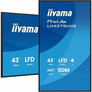 iiyama ProLite LH4375UHS-B2AG 1079,50 mm LCD Digital-Signage-Display - 24 Stunden/7 Tage Betrieb - IPS-Technologie (In-Pla