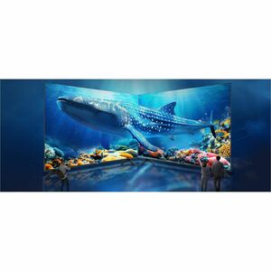 Konka 684 KUD55XG684AN 55" Smart LED-LCD TV - 4K UHDTV - High Dynamic Range (HDR) - Black - HDR10 - Direct LED Backlight -