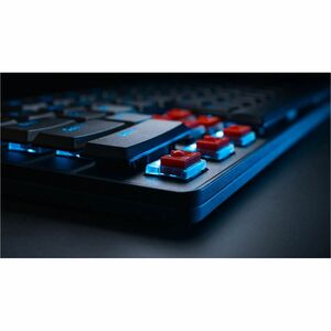 Logitech G G515 RAPID TKL 游戏键盘 - 无数字小键盘 - 电缆 连接 - A 型 USB 接口 - RGB LED - 英文（美国） - QWERTY 布局 - 黑 - 磁力 按键开关 - Windows 10, Wi