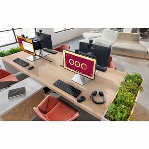 Dell Pro Micro QCM1255 Desktop Computer - AMD Ryzen 5 8500GE - 16 GB - 256 GB PCI Express NVMe 4.0 SSD - Micro PC - AMD Ch