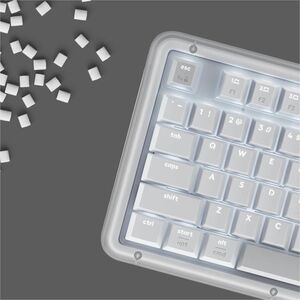 Logitech K98M Plus 键盘 - 袖珍的 - 有线/无线 连接 - A 型 USB 接口 - 英文（美国） - QWERTY 布局 - 珍珠白 - 机械 按键开关 - Bluetooth/RF - 10 m - 2.40 GHz 