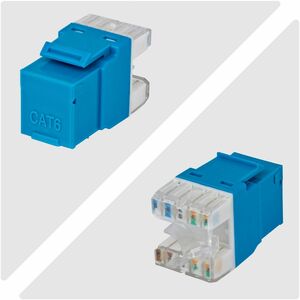 StarTech.com Gold Plated Network Connector - 24 - 1 x RJ-45 Network - Blue