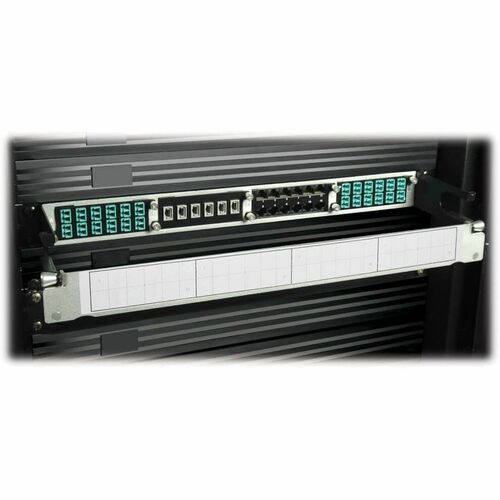 10GBE PASS-THROUGH CASSETTE