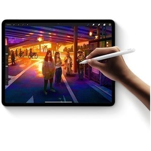 Apple iPad Pro (4th Generation) Tablet - 27.9 cm (11") - Apple M2 Octa-core - 8 GB - 256 GB Storage - 5G - Space Gray - 23