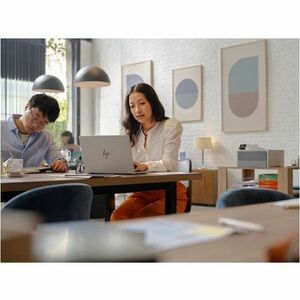 HP LaserJet Pro 4006dn Printer