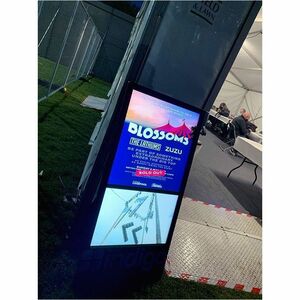 AllSee OAB43HD8-D 43" LCD Digital Signage Display - ARM Cortex A17 1.60 GHz - 2 GB DDR3 SDRAM - 1920 x 1080 - LED - 700 cd