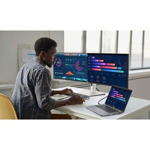 Dell UltraSharp U4924DW 49 Zoll Class Dual Quad HD (DQHD) Gekrümmter Bildschirm LCD-Monitor - 32:9 Format - 124,5 cm (49 Z