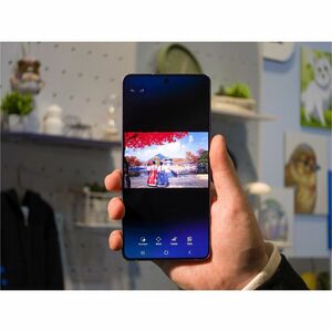 Samsung Galaxy S26 Ultra SM-S948B/DS 256 GB Smartphone - 17.5 cm (6.9"") Dynamic AMOLED 2X QHD+ 3120 x 1440 - Octa-core (O