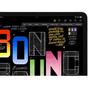 Apple iPad (9th Generation) Tablet - 25.9 cm (10.2") - Apple A13 Bionic Hexa-core - 256 GB Storage - iPadOS 15 - 4G - Silv