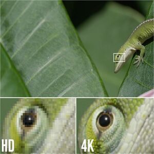 4XEM 100FT 30M High Speed HDMI cable fully supporting 1080p 3D, Ethernet and Audio return channel - 4XEM 100FT 30M High Sp