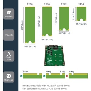 StarTech.com M.2 SSD to 2.5in SATA Adapter Converter - NGFF SSD to 2.5in SATA Converter Adapter with Open Frame Housing an