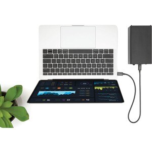 StarTech.com 50cm (1.6ft) Thunderbolt 3 Cable, 40Gbps, 100W PD, 4K/5K Video, Thunderbolt-Certified, Compatible w/ TB4/USB 