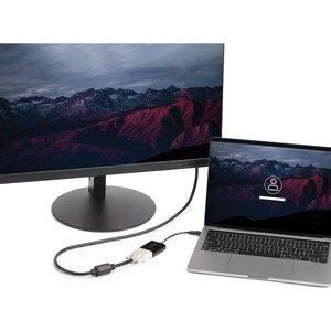StarTech.com USB-C auf DVI Adapter - Unterstützt bis zu1920 x 1200 - Schwarz