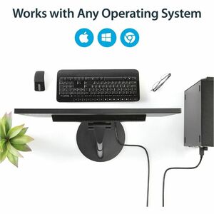 StarTech.com DP2DVI2MM6. Kabellänge: 1,8 m, Anschluss 1: DisplayPort, Anschluss 2: DVI-D. Gewicht: 143 g, Breite: 40 mm, T